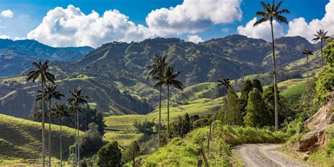 El Festival Centro de la Tierra: Una Exploración del Arte y la Cultura en la Zona Cafetera Colombiana