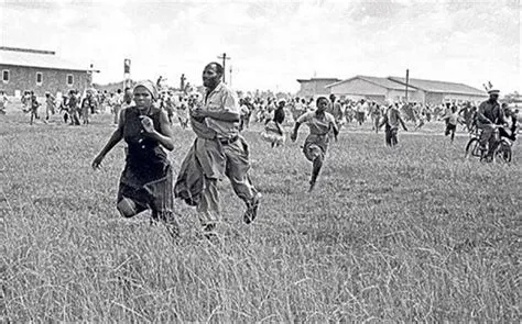  La Masacre de Sharpeville; Una Trágica Jornada Hacia la Igualdad Racial en Sudáfrica